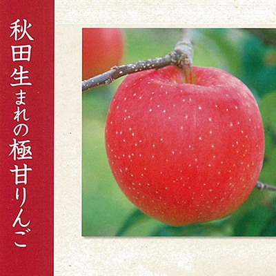 期間・数量限定【陽気な母さんの店】R7年産「秋田紅あかり」(3kg)
