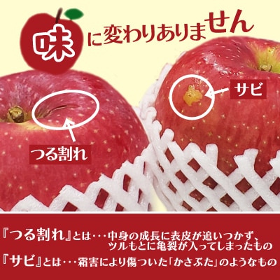 【先行予約】期間・数量限定【陽気な母さんの店】R8年産「訳ありふじ」(10kg)