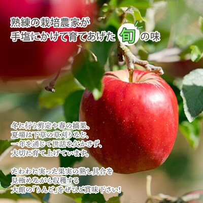 【先行予約】期間・数量限定【陽気な母さんの店】R8年産「訳ありふじ」(10kg)