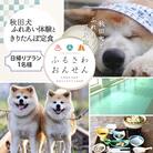 【ふるさわ温泉日帰り体験】秋田犬ふれあい体験ときりたんぽ定食(1名様分)