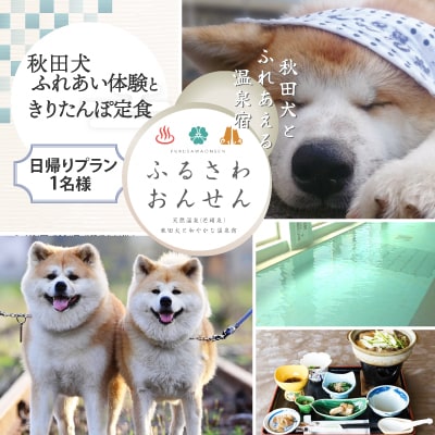 【ふるさわ温泉日帰り体験】秋田犬ふれあい体験ときりたんぽ定食(1名様分)