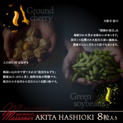 秋田県産の食材を使用したオリジナルショコラ AKITA HASHIOKI 