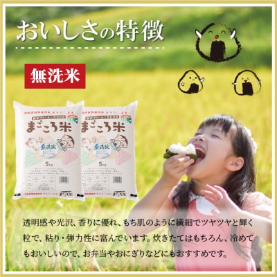 【新米先行受付】令和7年産秋田県特別栽培米あきたこまちまごころ米(無洗米)10kg(5kg×2袋) 