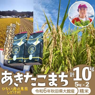 【令和6年産】渡辺農園の「あきたこまち」精米10kg(5kg×2袋)