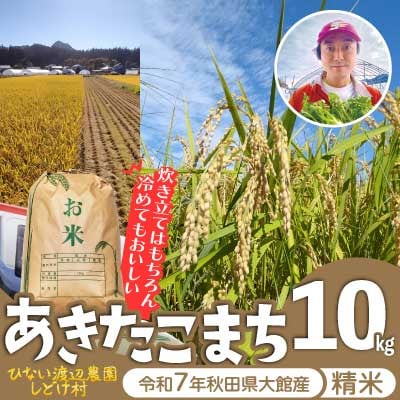 【令和7年産】渡辺農園の「あきたこまち」精米10kg(10kg×1袋)