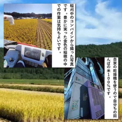 【令和6年産】渡辺農園の「あきたこまち」精米10kg(5kg×2袋)