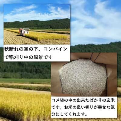 【令和6年産】渡辺農園の「あきたこまち」精米10kg(5kg×2袋)
