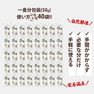 【定期2ヶ月】冷凍とろろ2キロセット(50g×40袋)
