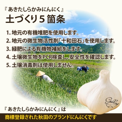 あきたしらかみ黒にんにく10個セット