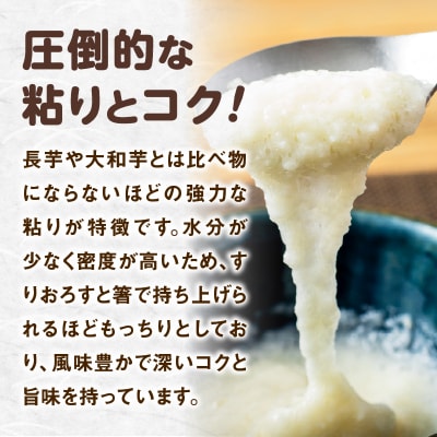 冷凍とろろ1キロセット(50g×20袋)