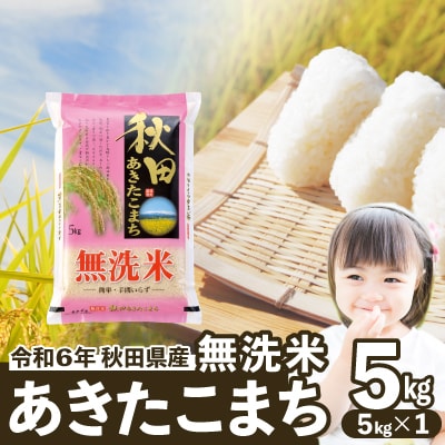 【令和6年産】秋田県産あきたこまち(無洗米)5kg(5kg×1袋)