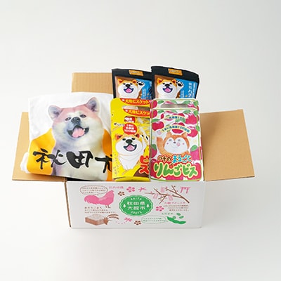 秋田犬Tシャツとワンちゃん用おやつセット
