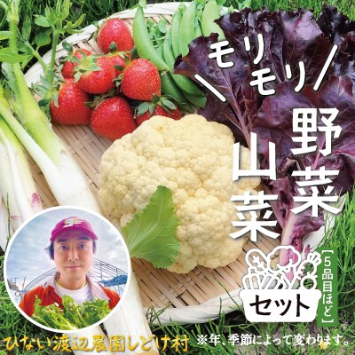 モリモリ野菜・山菜セット(5品目ほど) 75P3205