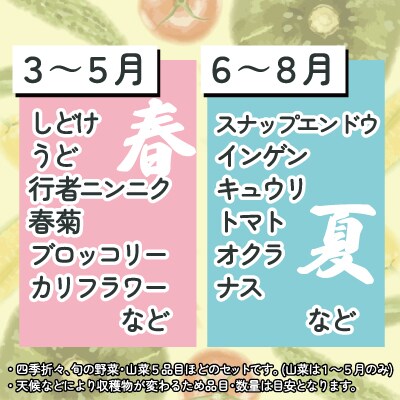 モリモリ野菜・山菜セット(5品目ほど) 75P3205