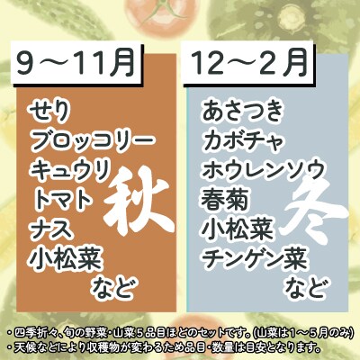 モリモリ野菜・山菜セット(5品目ほど) 75P3205