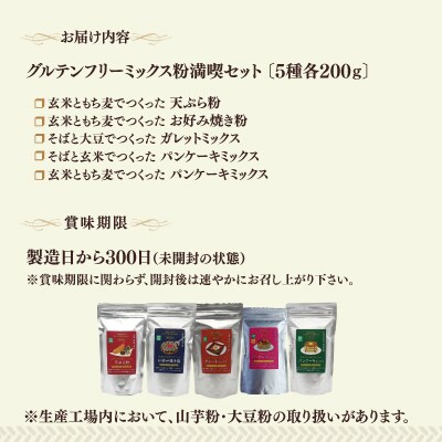 グルテンフリーミックス粉満喫セット