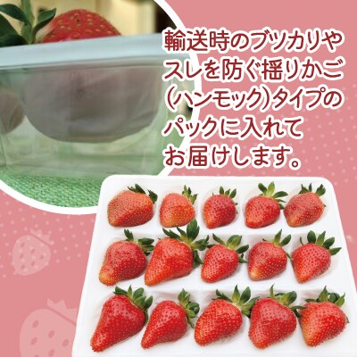 【完熟で香り高い!】秋田のイチゴ2P