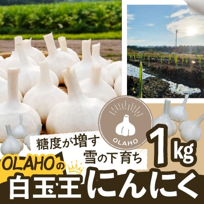 【OLAHO】白玉王にんにく　1kg