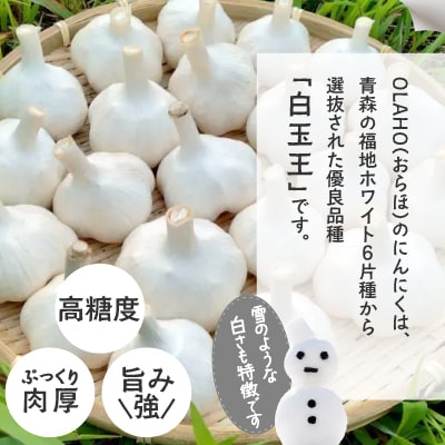 【OLAHO】白玉王にんにく　1kg