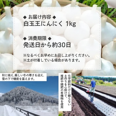 【OLAHO】白玉王にんにく　1kg