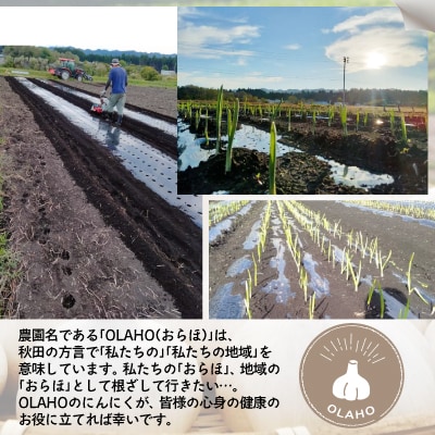 【OLAHO】白玉王にんにく　1kg