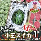 甘い!可愛い小玉スイカ!夏丸チッチェ<1個>