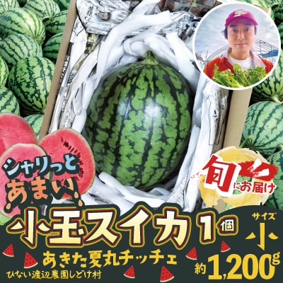 シャリっと甘い小玉スイカ!あきた夏丸チッチェ<小1個>
