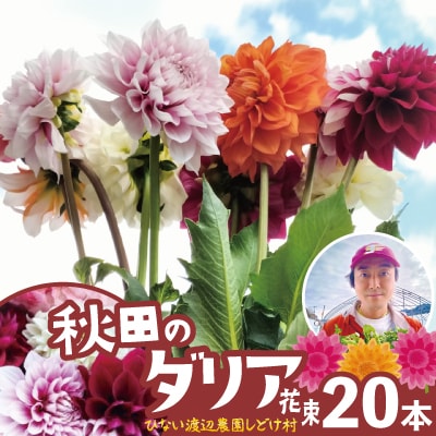 新鮮!綺麗!秋田のダリア〈20本花束〉