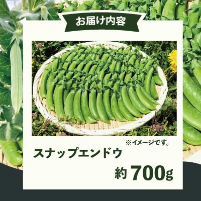 スナップエンドウ  プリッと甘い!約700g