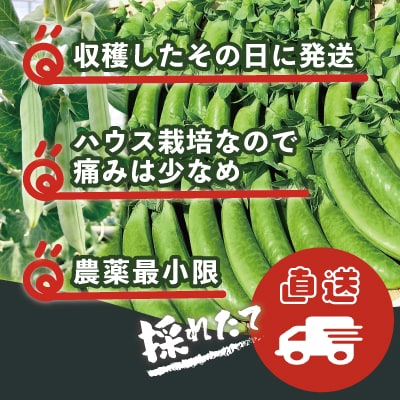 スナップエンドウ  プリッと甘い!約700g