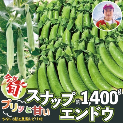 スナップエンドウ  プリッと甘い!約1400g