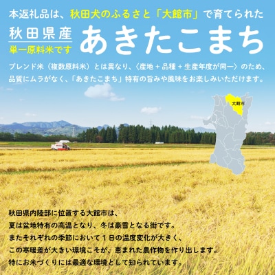 【令和7年産】秋田県産あきたこまち(無洗米)5kg