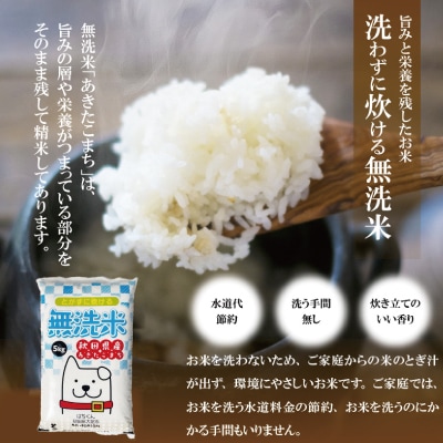 【定期便3ヶ月】令和7年産秋田県産あきたこまち(無洗米)5kg