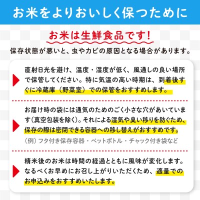 【定期便12ヶ月】秋田県産あきたこまち(無洗米)5kg