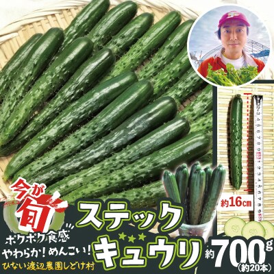 ステックキュウリ ポクポク柔らか!めんこい!約20本