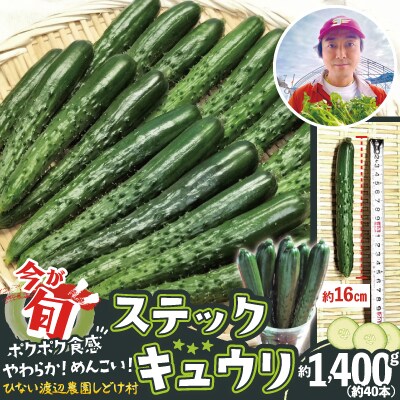 ステックキュウリ ポクポク柔らか!めんこい!約40本