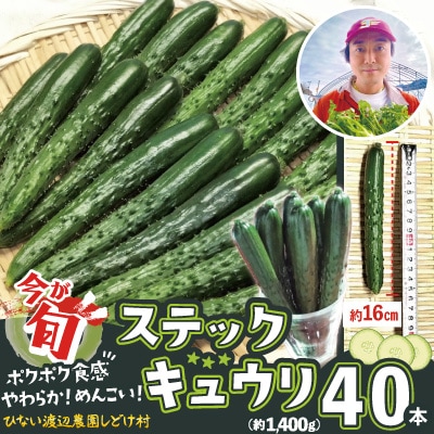 ステックキュウリ ポクポク柔らか!めんこい!約40本