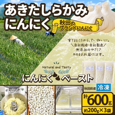 あきたしらかみにんにく 冷凍ペースト600g