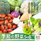 季節の野菜セット 5～6種類