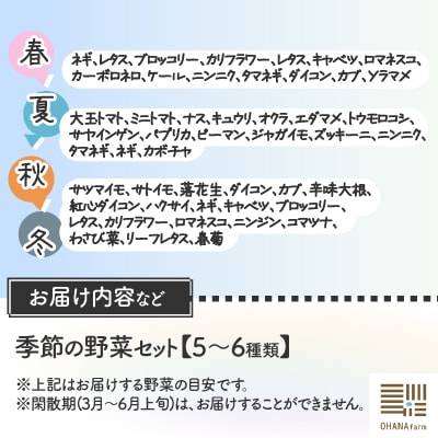 季節の野菜セット 5～6種類