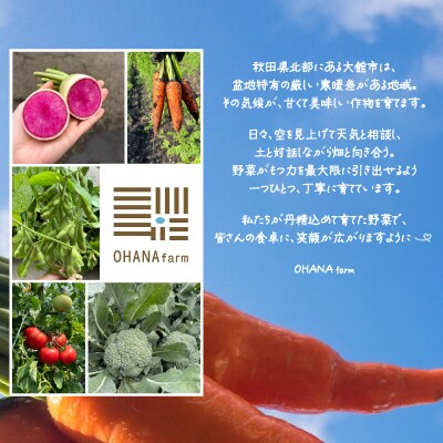 季節の野菜セット 5～6種類
