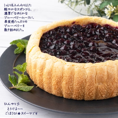 ブルーベリーのアイスケーキ(ホール17cm)
