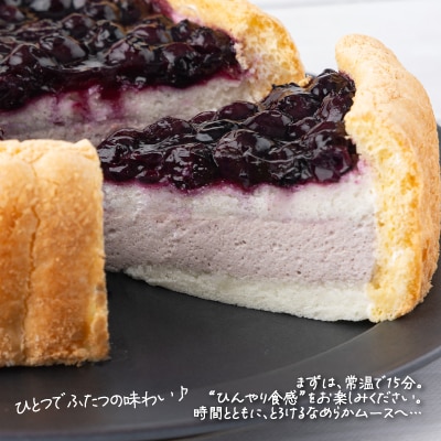 ブルーベリーのアイスケーキ(ホール17cm)