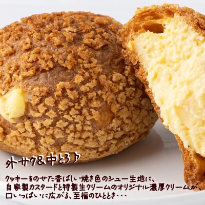 シュードーム　10個　箱入り