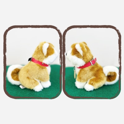 <よちよちあきた>秋田犬3種セットSサイズ(赤・白・虎)