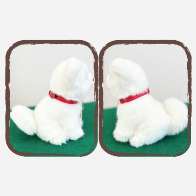 <よちよちあきた>秋田犬3種セットSサイズ(赤・白・虎)