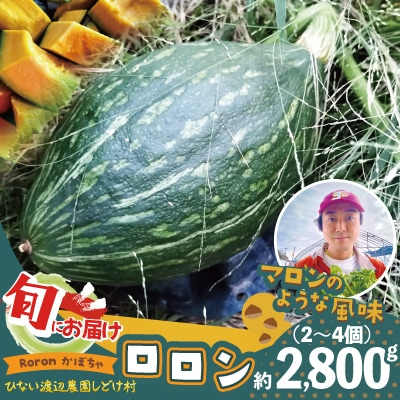 カボチャ 旨味がトロけるロロンで幸せな一時を 約2800g