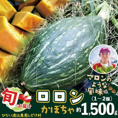 カボチャ 旨味がトロけるロロンで幸せな一時を 1500g