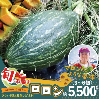 カボチャ 旨味がトロけるロロンで幸せな一時を 約5500g