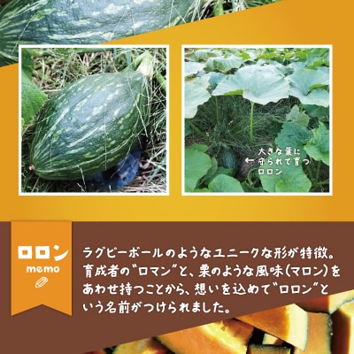 カボチャ 旨味がトロけるロロンで幸せな一時を 約5500g